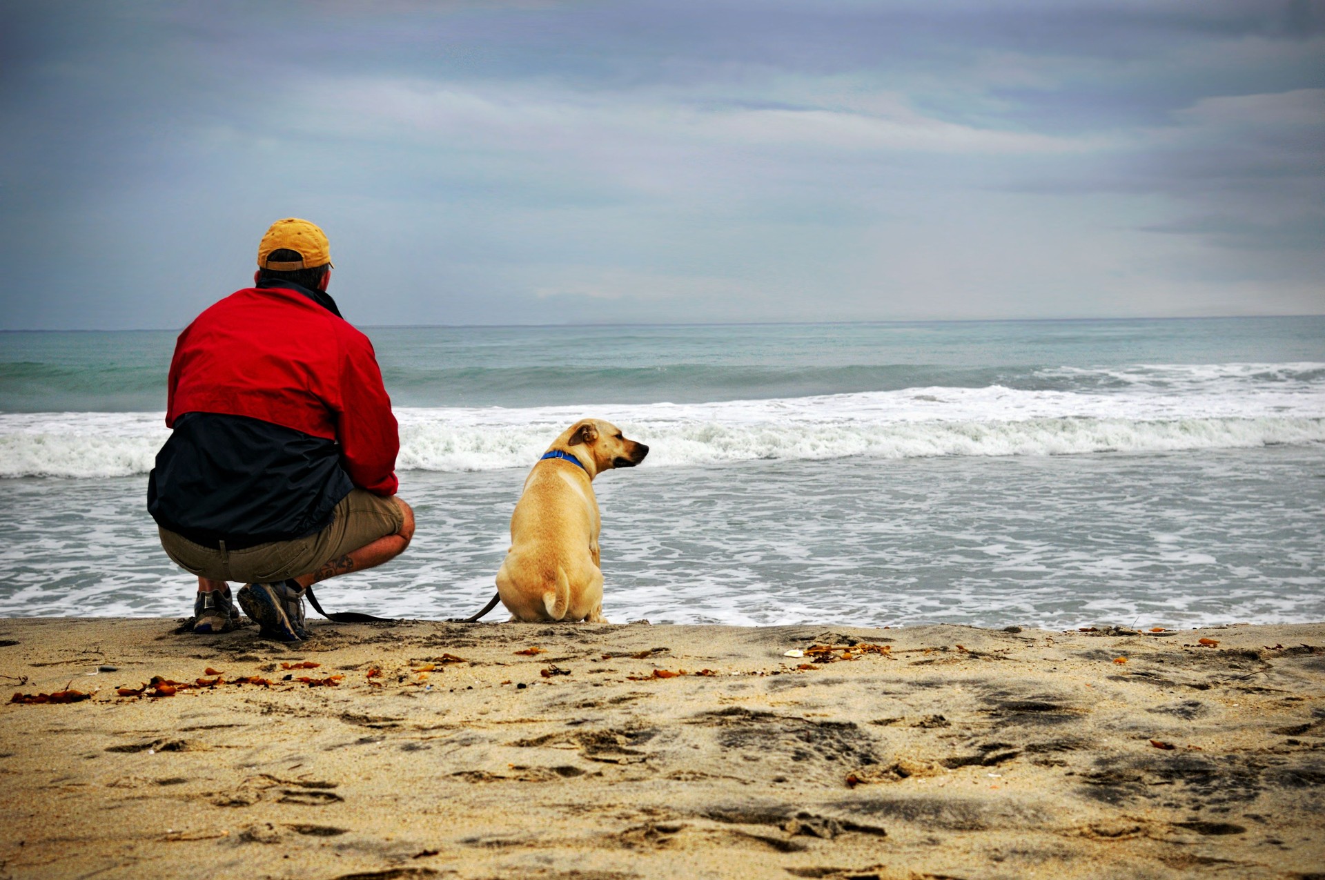 Man and His Dog at the Beach - San Diego